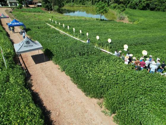 Copacol realiza Dias de Campo para cooperados do Sudoeste
