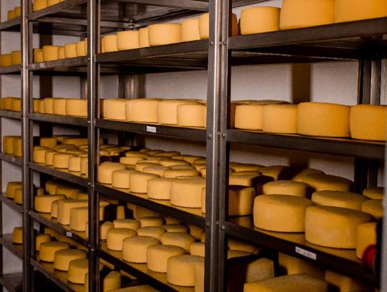 Queijaria de Francisco Beltrão é a primeira do Paraná a receber selo de carbono neutro