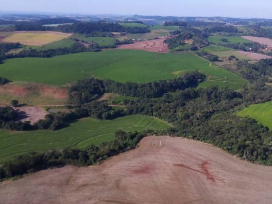 IAT aplica mais de R$ 3 milhões em multas por desmatamento ilegal na região Sudoeste