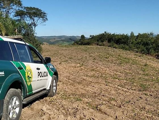 Batalhão de Polícia Ambiental atendem mais de 60 denúncias de crimes ambientais no sudoeste do PR