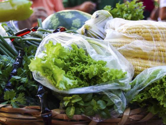 Paraná aumenta aquisição de alimentos orgânicos para merenda e ensina prática nas escolas