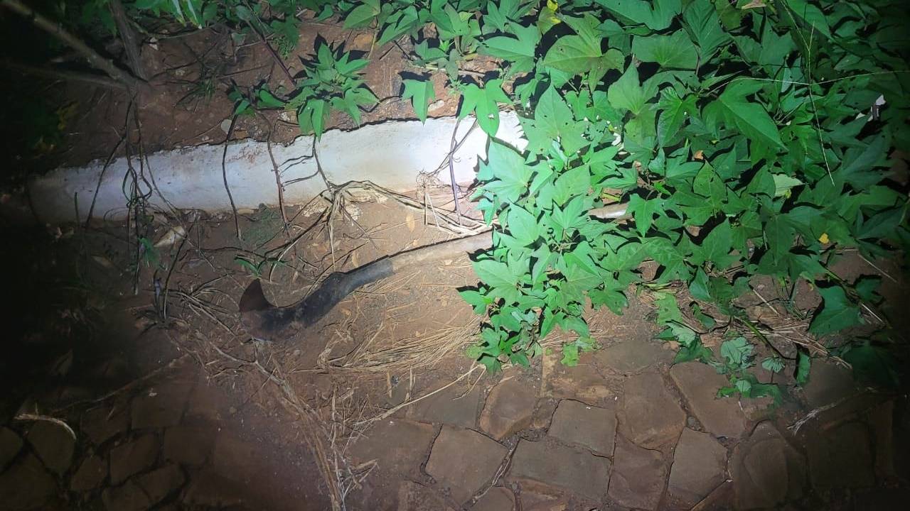 Suspeito de homicídio em Mariópolis é preso em ação conjunta da ROTAM e Polícia Civil em Clevelândia