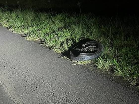 Homem de 26 anos morre em colisão entre moto e caminhão na BR-280 em Flor da Serra do Sul