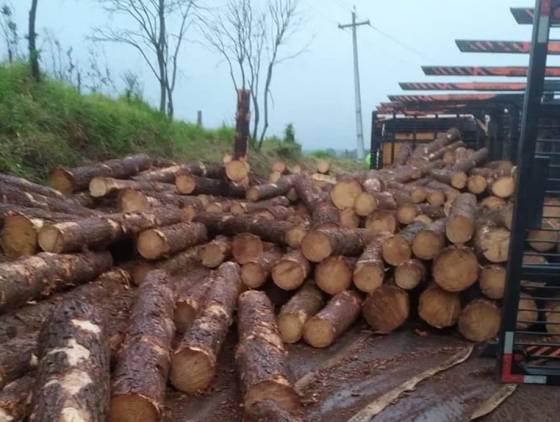 Caminhão tomba na PR-180 em Marmeleiro e deixa motorista ferido