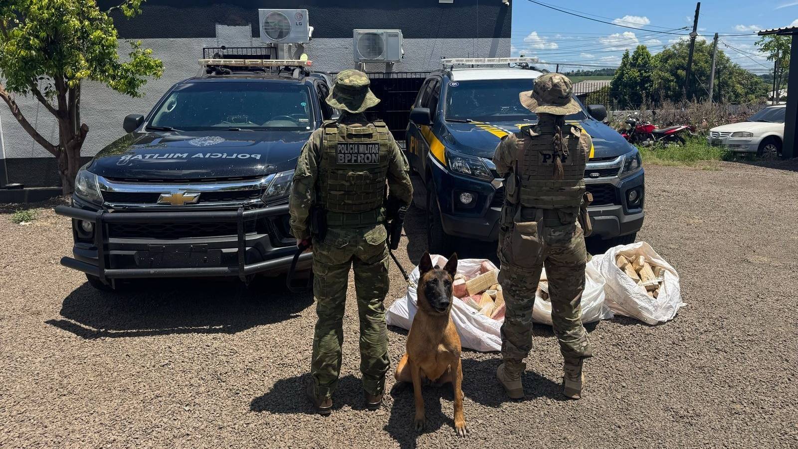BPFRON e PRF desarticulam ponto de tráfico de drogas em Ampére e apreendem 123 kg de maconha
