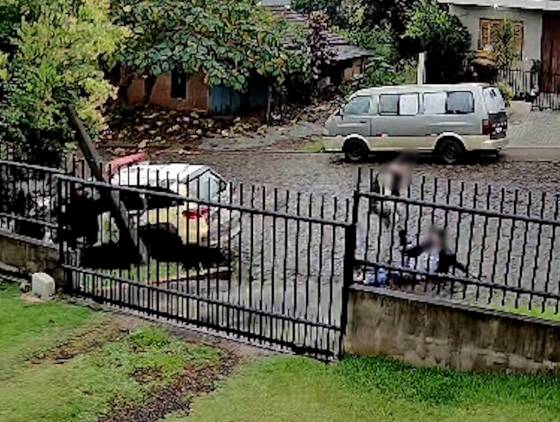 Motorista embriagado causa acidente em Realeza e é preso após fugir da PM