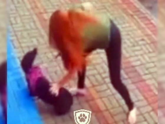 Mulher é flagrada agredindo animal em Francisco Beltrão