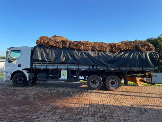 BPFRON apreende caminhão carregado com fumo em Santo Antônio do Sudoeste