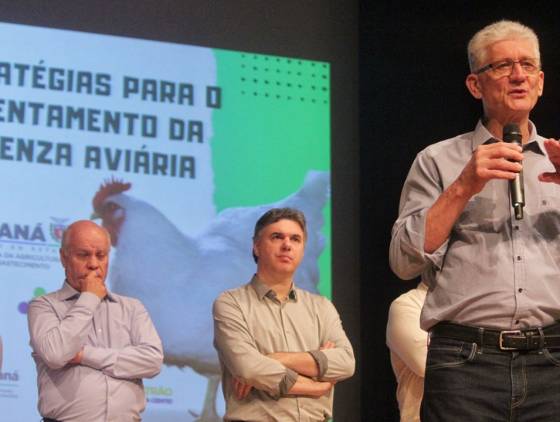 No Sudoeste, Sistema de Agricultura do Paraná debate prevenção da influenza aviária