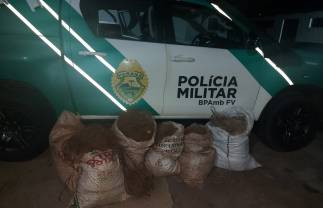 Polícia Ambiental apreende arma de fogo e 500 metros de redes de pesca predatória durante operação