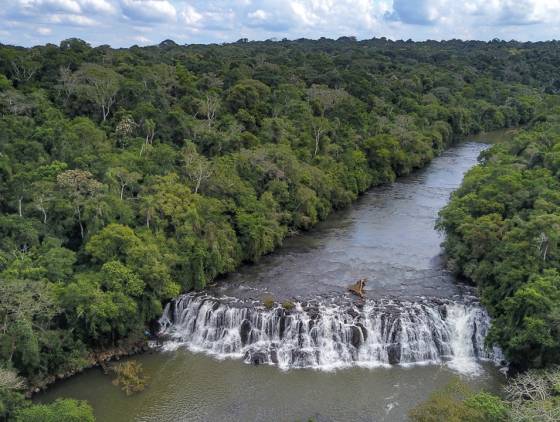 Mata ciliar aumenta 12% no Paraná com proteção de nascentes e plantio de mudas