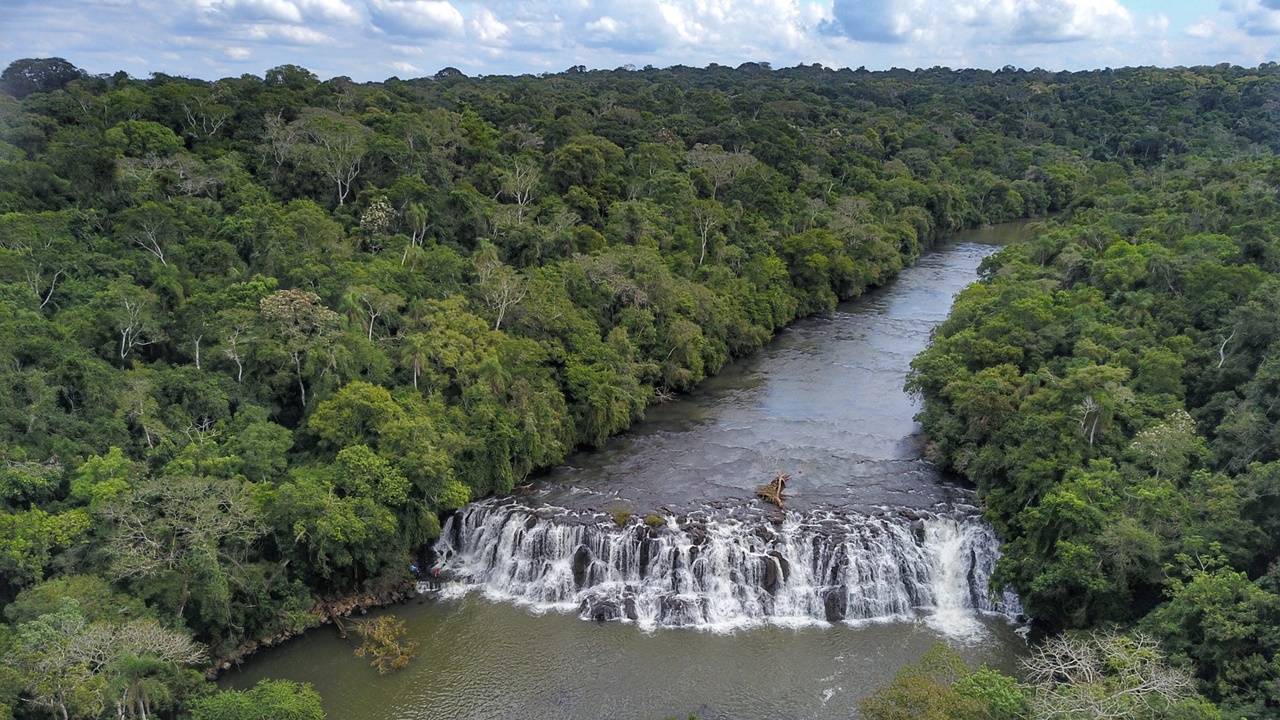 Mata ciliar aumenta 12% no Paraná com proteção de nascentes e plantio de mudas