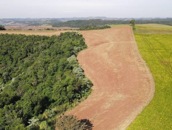 Ação contra desmatamento ilegal no Sudoeste resulta em R$ 2,8 milhões em multas