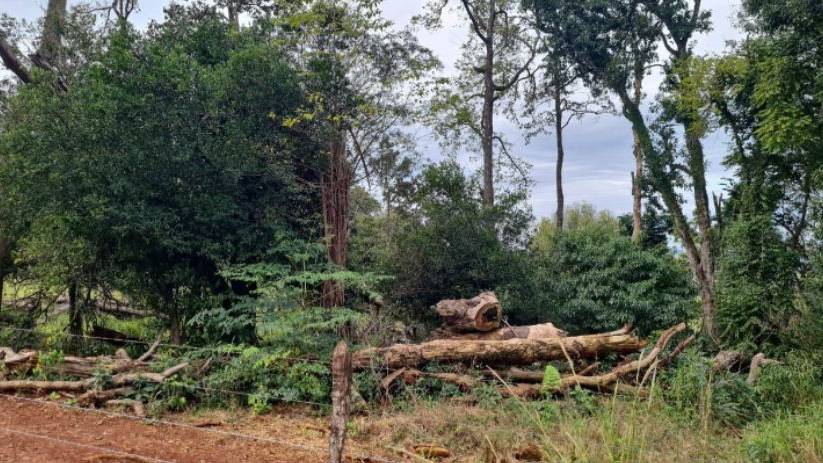 Operação do IAT contra o desmatamento no Sudoeste gera mais de R$ 2,7 milhões em multas