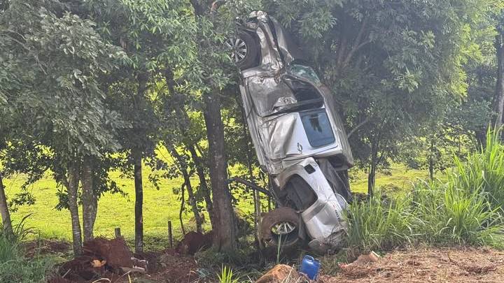Caminhonete desgovernada bate em árvore e para em posição vertical na PR-566