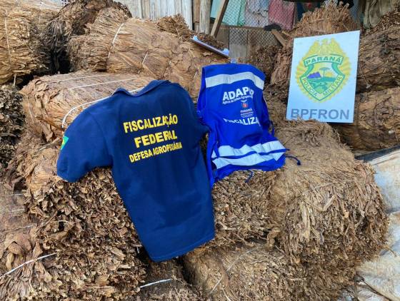 Polícia Militar, Mapa e Adapar apreendem quase 18 toneladas de Fumo em Santo Antônio do Sudoeste